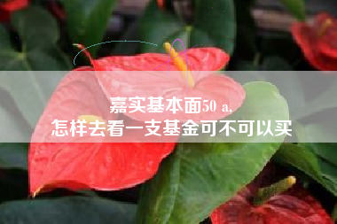 嘉实基本面50 a,
怎样去看一支基金可不可以买