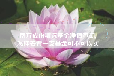 南方成份精选基金净值查询,
怎样去看一支基金可不可以买