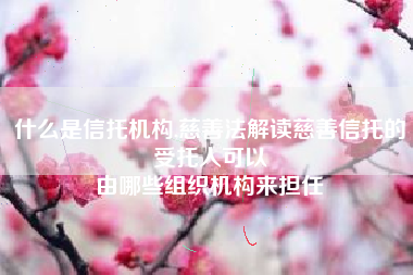 什么是信托机构,慈善法解读慈善信托的受托人可以
由哪些组织机构来担任 什么是信托机构,慈善法解读慈善信托的受托人可以
由哪些组织机构来担任