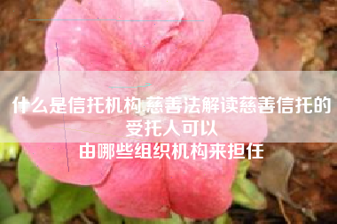 什么是信托机构,慈善法解读慈善信托的受托人可以
由哪些组织机构来担任 什么是信托机构,慈善法解读慈善信托的受托人可以
由哪些组织机构来担任