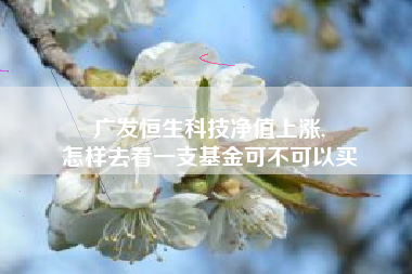 广发恒生科技净值上涨,
怎样去看一支基金可不可以买