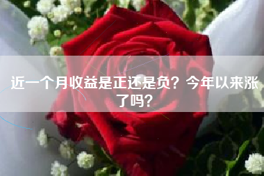 近一个月收益是正还是负？今年以来涨了吗？