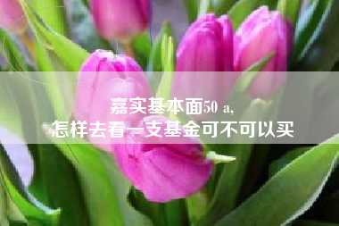 嘉实基本面50 a,
怎样去看一支基金可不可以买