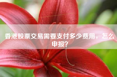 香港股票交易需要支付多少费用，怎么申报？