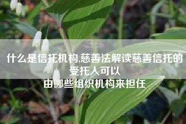 什么是信托机构,慈善法解读慈善信托的受托人可以
由哪些组织机构来担任 什么是信托机构,慈善法解读慈善信托的受托人可以
由哪些组织机构来担任