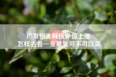 广发恒生科技净值上涨,
怎样去看一支基金可不可以买