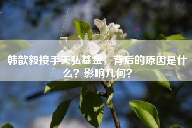 韩歆毅接手天弘基金,背后的原因是什么?影响几何?
