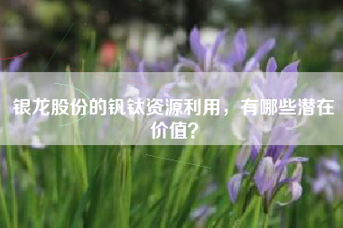 银龙股份的钒钛资源利用，有哪些潜在价值？