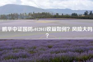 鹏华中证国防c012041收益如何?风险大吗?