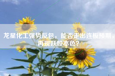 龙星化工强势反包,能否走出连板预期,再现妖股本色?