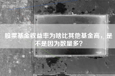 股票基金收益率为啥比其他基金高，是不是因为数量多？