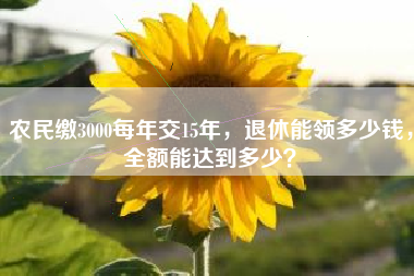 农民缴3000每年交15年,退休能领多少钱,全额能达到多少?