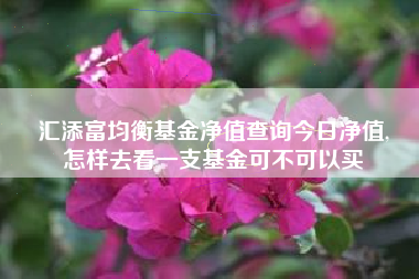 汇添富均衡基金净值查询今日净值,
怎样去看一支基金可不可以买