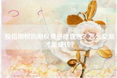 股指期权的期权费是啥意思？怎么交易才能赚钱？