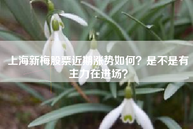 上海新梅股票近期涨势如何?是不是有主力在进场?