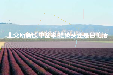 北交所新股中签率,抢破头还是白忙活