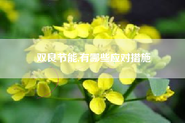 双良节能,有哪些应对措施