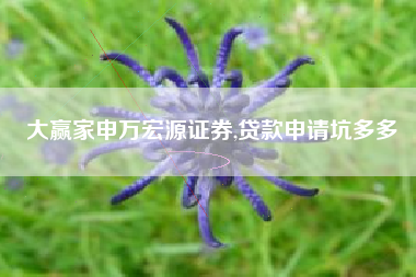 大赢家申万宏源证券,贷款申请坑多多