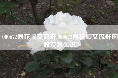 000672同花顺交流群,000672同花顺交流群的股友怎么说