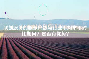 联创股份的股东户数与行业平均水平对比如何?是否有优势?