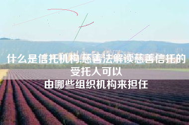 什么是信托机构,慈善法解读慈善信托的受托人可以
由哪些组织机构来担任 什么是信托机构,慈善法解读慈善信托的受托人可以
由哪些组织机构来担任
