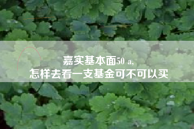 嘉实基本面50 a,
怎样去看一支基金可不可以买