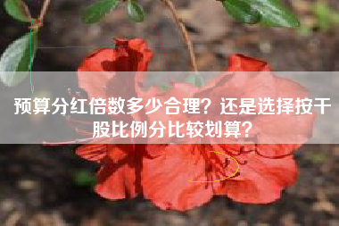 预算分红倍数多少合理？还是选择按干股比例分比较划算？