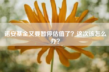 诺安基金又要暂停估值了？这次该怎么办？