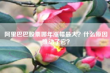 阿里巴巴股票哪年涨幅最大？什么原因推动了它？