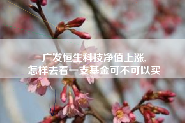 广发恒生科技净值上涨,
怎样去看一支基金可不可以买