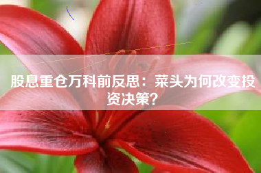 股息重仓万科前反思：菜头为何改变投资决策？