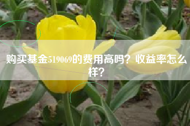 购买基金519069的费用高吗?收益率怎么样?