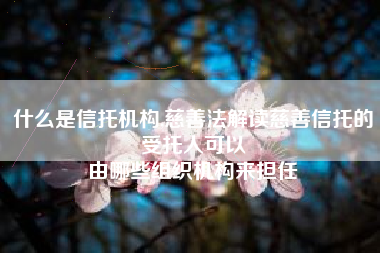 什么是信托机构,慈善法解读慈善信托的受托人可以
由哪些组织机构来担任 什么是信托机构,慈善法解读慈善信托的受托人可以
由哪些组织机构来担任