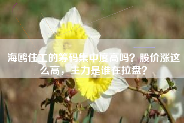 海鸥住工的筹码集中度高吗?股价涨这么高,主力是谁在拉盘?