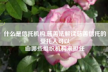 什么是信托机构,慈善法解读慈善信托的受托人可以
由哪些组织机构来担任 什么是信托机构,慈善法解读慈善信托的受托人可以
由哪些组织机构来担任