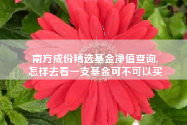 南方成份精选基金净值查询,
怎样去看一支基金可不可以买