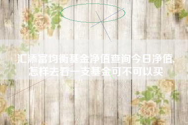 汇添富均衡基金净值查询今日净值,
怎样去看一支基金可不可以买