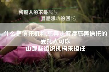 什么是信托机构,慈善法解读慈善信托的受托人可以
由哪些组织机构来担任 什么是信托机构,慈善法解读慈善信托的受托人可以
由哪些组织机构来担任