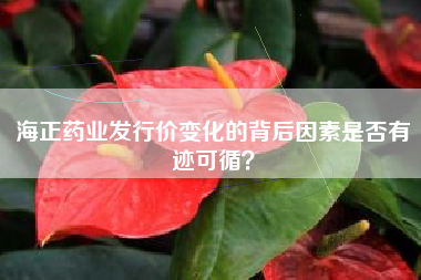 海正药业发行价变化的背后因素是否有迹可循？