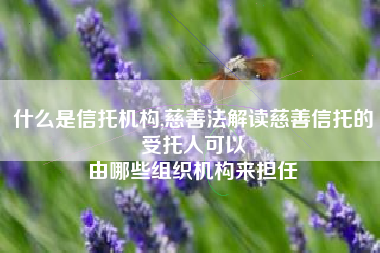 什么是信托机构,慈善法解读慈善信托的受托人可以
由哪些组织机构来担任 什么是信托机构,慈善法解读慈善信托的受托人可以
由哪些组织机构来担任