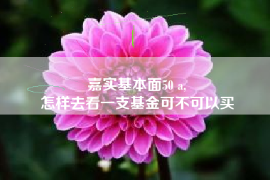 嘉实基本面50 a,
怎样去看一支基金可不可以买