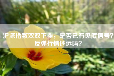 沪深指数双双下挫，是否已有见底信号？反弹行情还远吗？