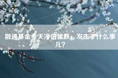 融通基金今天净值猛跌，发生了什么事儿？