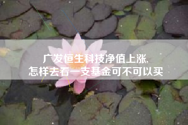 广发恒生科技净值上涨,
怎样去看一支基金可不可以买