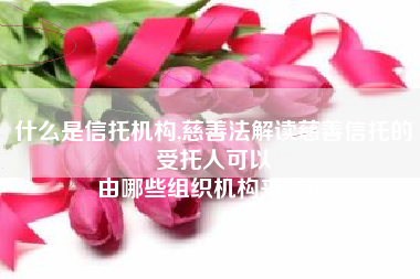 什么是信托机构,慈善法解读慈善信托的受托人可以
由哪些组织机构来担任 什么是信托机构,慈善法解读慈善信托的受托人可以
由哪些组织机构来担任