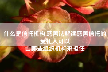 什么是信托机构,慈善法解读慈善信托的受托人可以
由哪些组织机构来担任 什么是信托机构,慈善法解读慈善信托的受托人可以
由哪些组织机构来担任