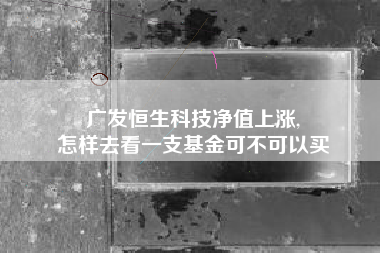 广发恒生科技净值上涨,
怎样去看一支基金可不可以买