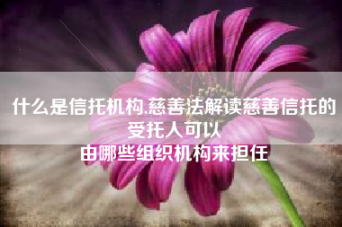 什么是信托机构,慈善法解读慈善信托的受托人可以
由哪些组织机构来担任 什么是信托机构,慈善法解读慈善信托的受托人可以
由哪些组织机构来担任