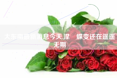 大东南最新消息今天,涅槃蝶变还在遥遥无期