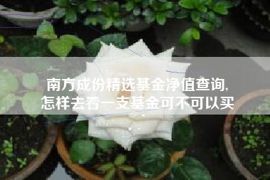 南方成份精选基金净值查询,
怎样去看一支基金可不可以买